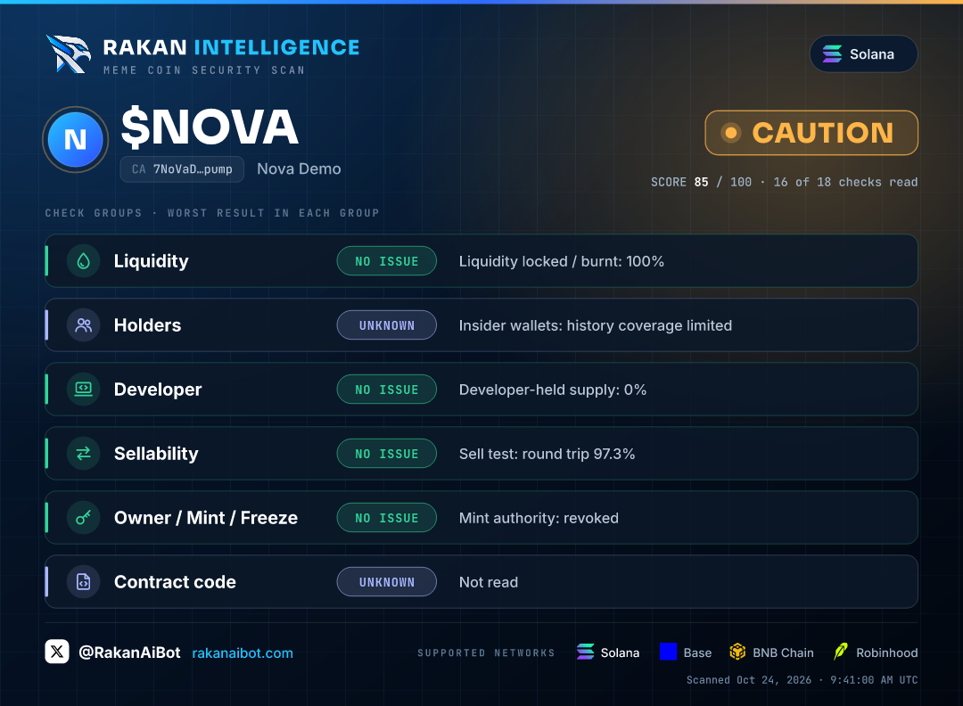 The Security page of an example coin with every check listed